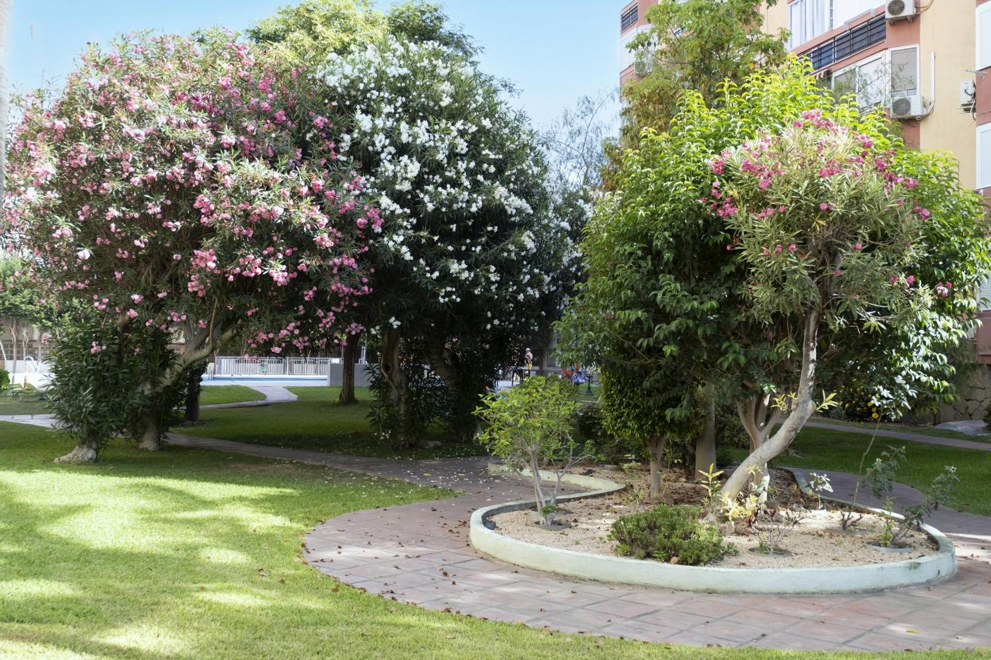Apartment Sol Y Breeze
